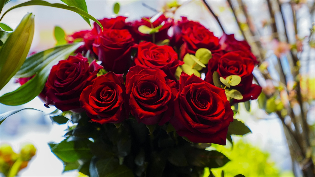 Sevgililer Günü’nde hediyeler STK’ler aracılığıyla iyiliğe dönüşüyor Sevgililer Günü’nde hediyeler STK’ler aracılığıyla iyiliğe dönüşüyor