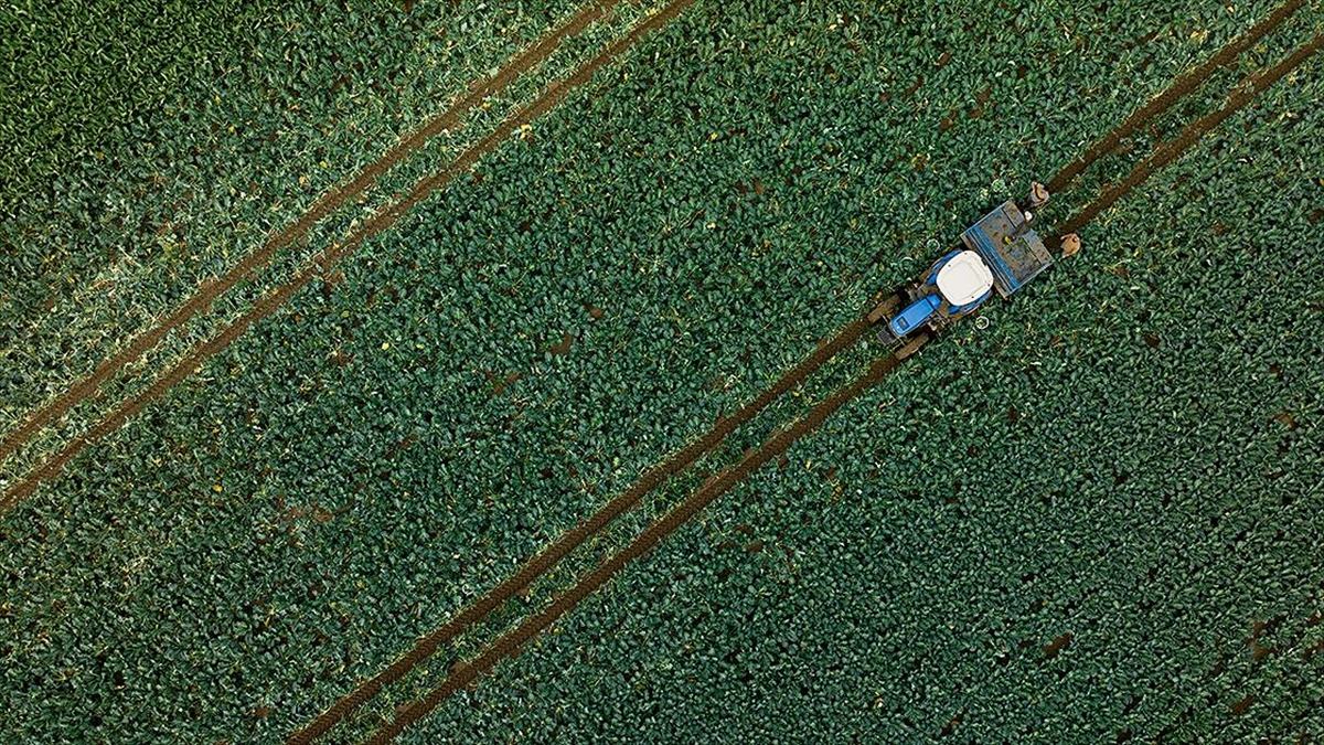 Son dönem yağışları su kaynaklarına ve tarımsal üretime olumlu yansıdı