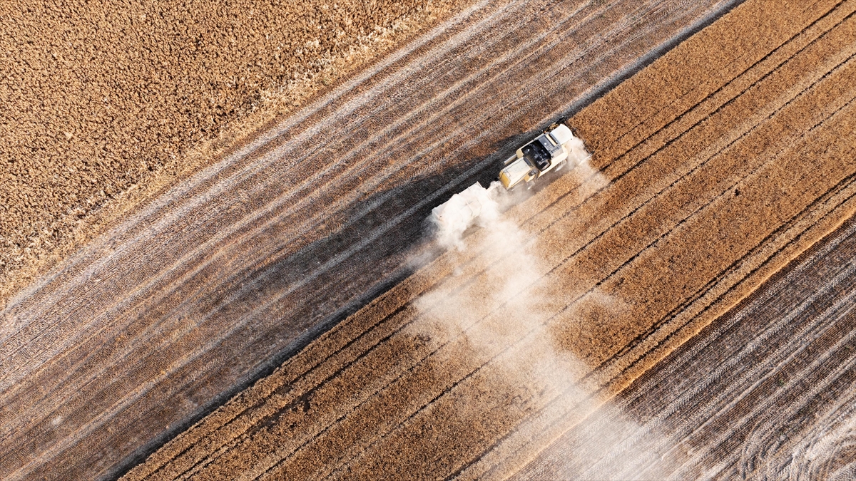 Tarım sezonunun ilk 3 ayında yağışlar uzun yıllar ortalamasına göre yüzde 20 azaldı