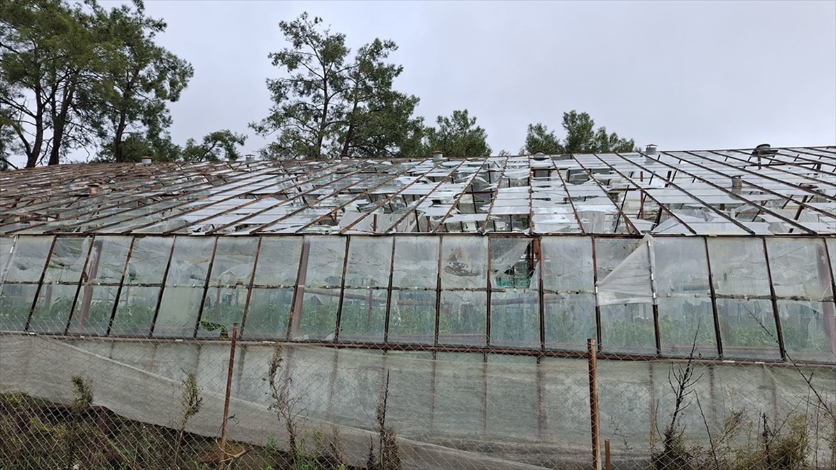 TARSİM, Antalya’daki selden etkilenen üreticilere 586 milyon lira hasar ödemesi yapacak