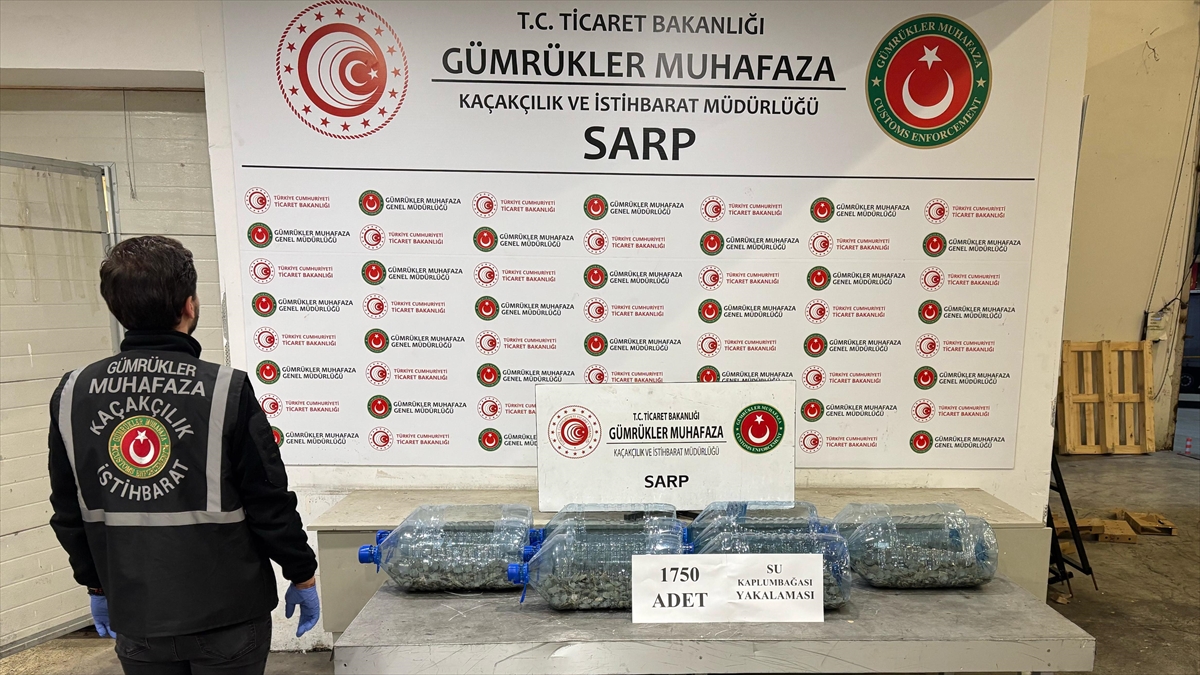 Ticaret Bakanlığı ekipleri geçen yıl kaçak girişim kapsamında 85 binden fazla canlı hayvan ele geçirdi