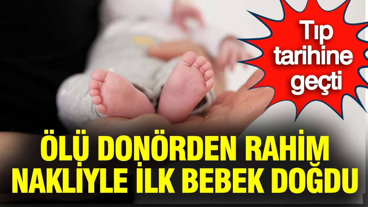 Tıp tarihine geçti: Ölü donörden doğdu…