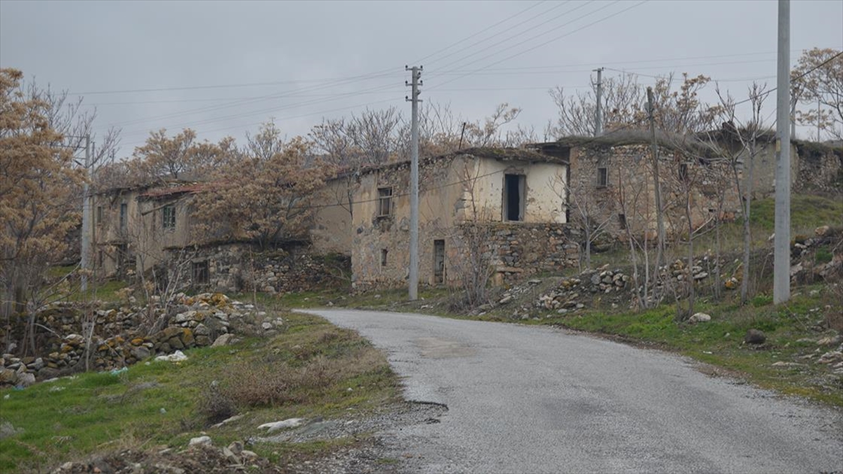 Türkiye’nin 70 köyünde 10 veya daha az kişi yaşıyor