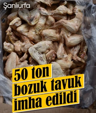 Şanlıurfa’da 50 ton bozuk tavuk eti ele geçirildi… Şanlıurfa’da 50 ton bozuk tavuk eti ele geçirildi…
