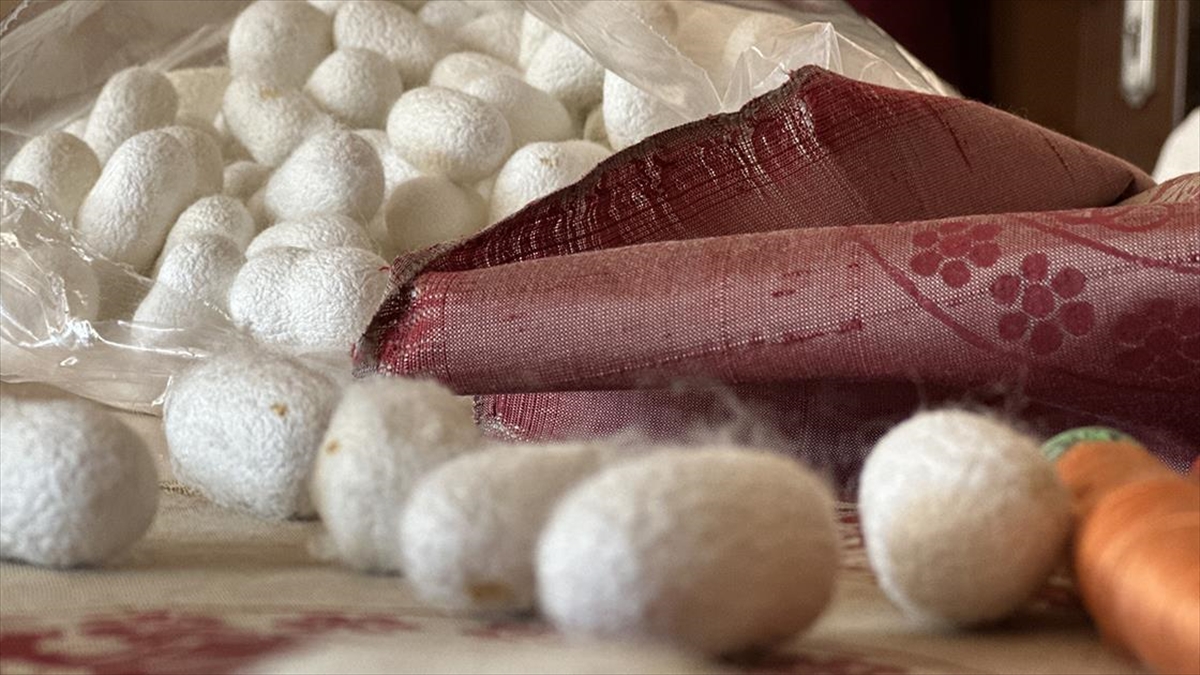 800 yıllık Selçuklu ipeği Antalya’da yeniden hayat buluyor 800 yıllık Selçuklu ipeği Antalya’da yeniden hayat buluyor