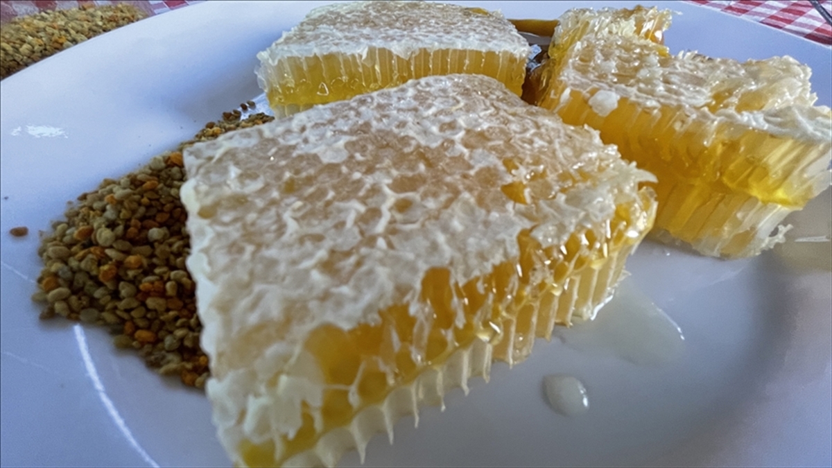 AB’den coğrafi tescil alan Yenice ıhlamur balı markalaşma yolunda ilerleyecek AB’den coğrafi tescil alan Yenice ıhlamur balı markalaşma yolunda ilerleyecek