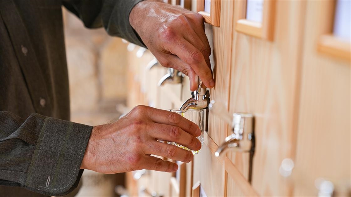 Anadolu’nun zeytinyağı mirası İzmir’deki “tadım kütüphanesinde” buluştu