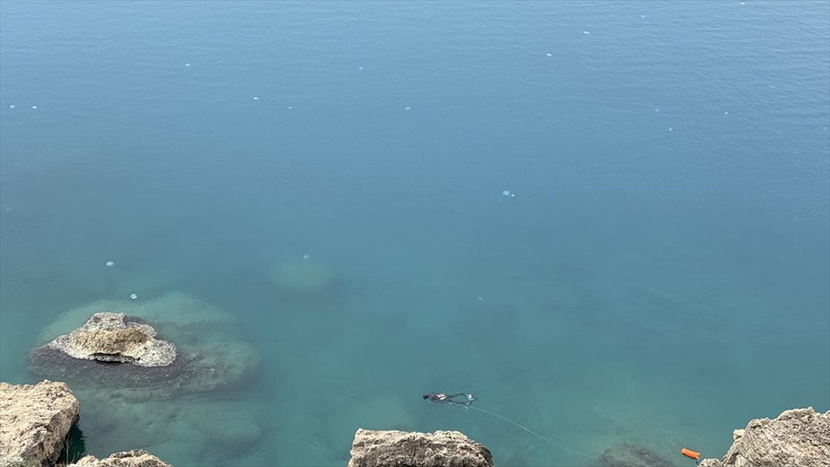 Antalya Körfezi’nde “göçmen denizanası” yoğunluğu yaşanıyor
