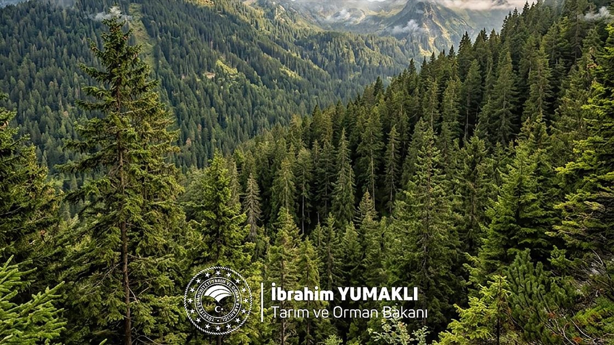 Bakan Yumaklı, Dünya Ormancılık Günü ve Orman Haftası’nı kutladı