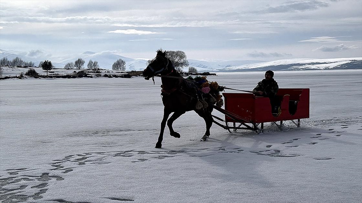 Çıldır Gölü’nde atlı kızak sezonu tamamlandı