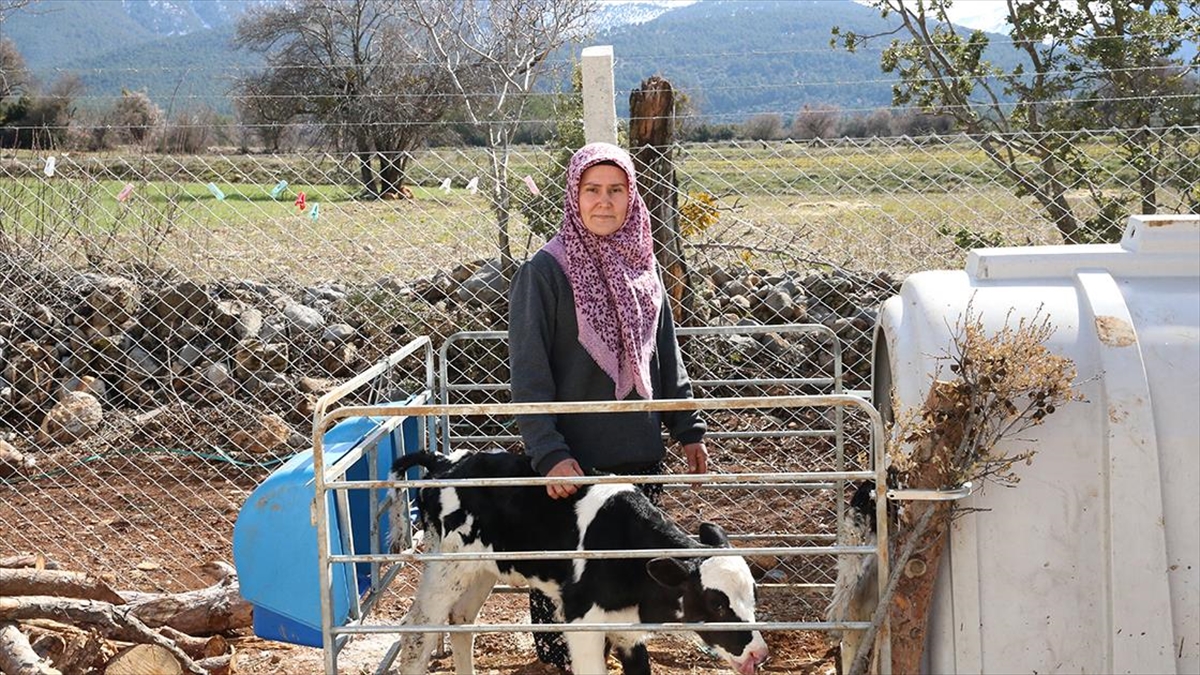 Denizli’de kadın girişimci devlet desteğiyle hayal ettiği çiftliği kurdu Denizli’de kadın girişimci devlet desteğiyle hayal ettiği çiftliği kurdu