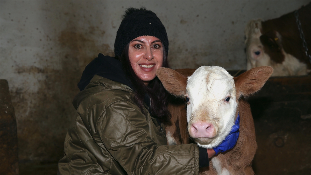 Devlet desteğiyle besi çiftliği kuran girişimci kadın hayvan sayısını artırmayı hedefliyor Devlet desteğiyle besi çiftliği kuran girişimci kadın hayvan sayısını artırmayı hedefliyor