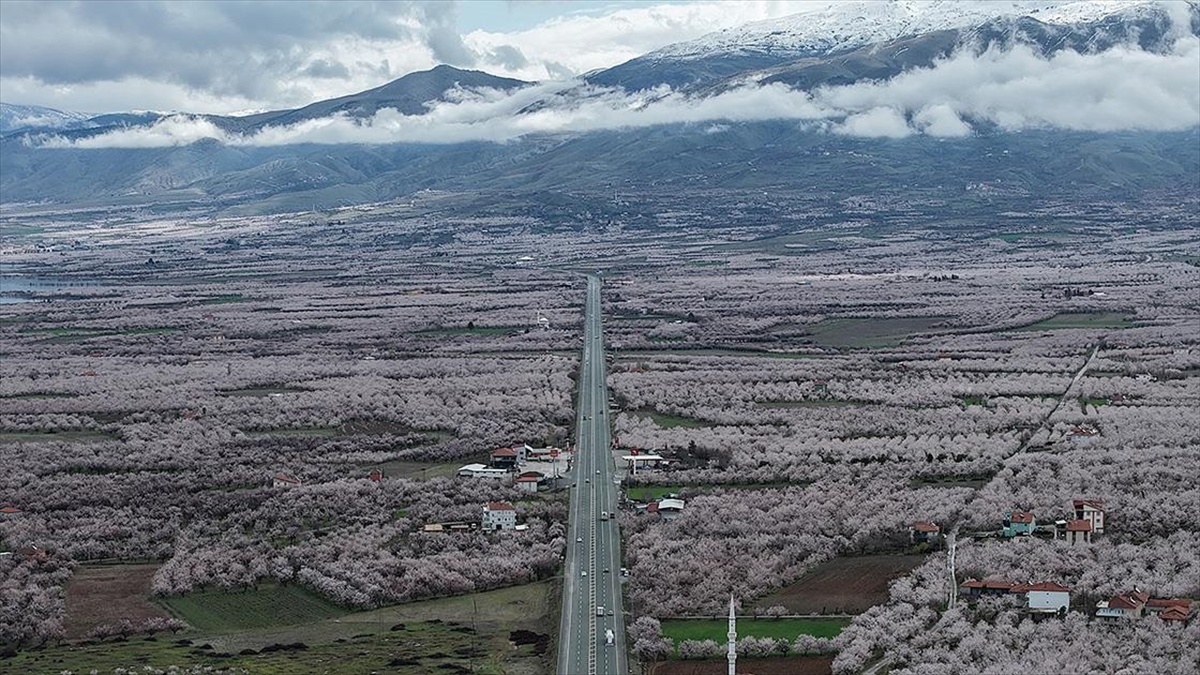 “Dünya kayısı başkenti” Malatya beyaz gelinliğini giydi