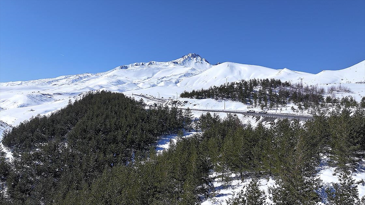 Erciyes’te 15 yılda yaklaşık 7 milyon fidan toprakla buluşturuldu