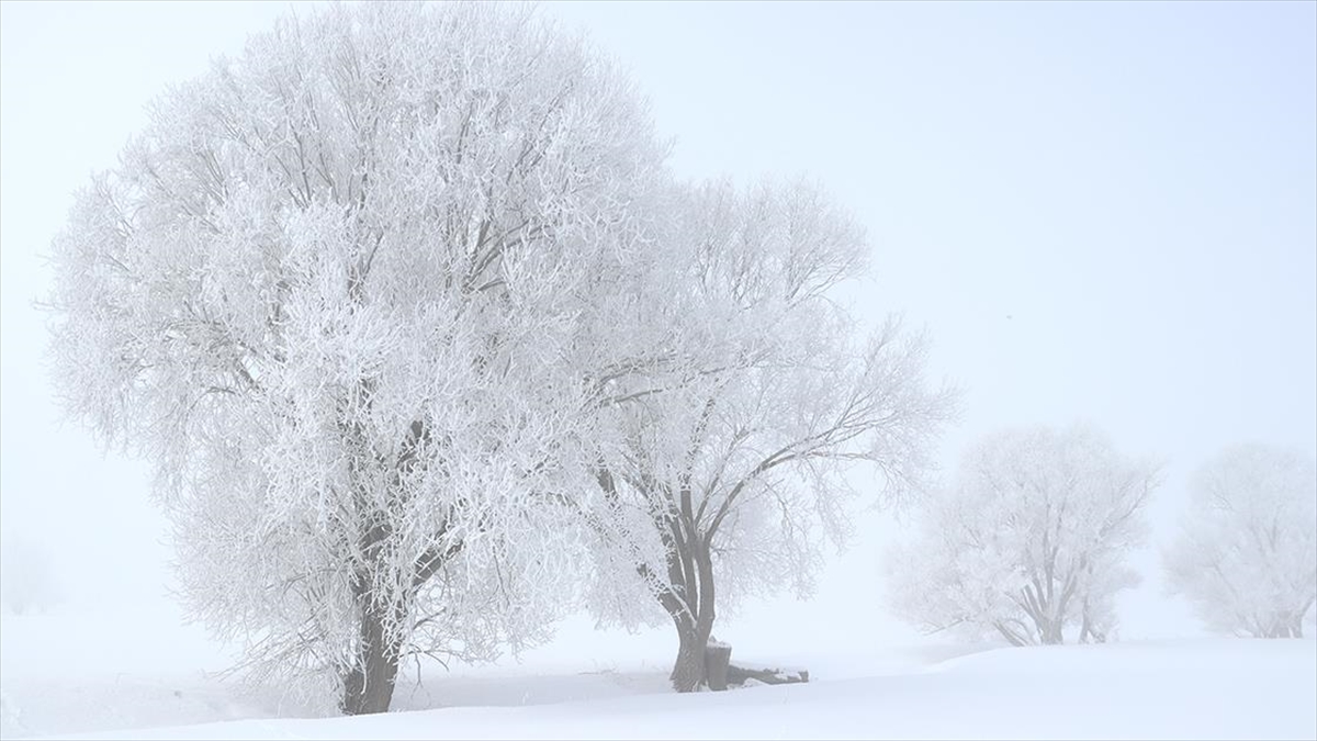 Erzurum, Ardahan, Kars ve Ağrı’da dondurucu soğuk hava etkili oluyor