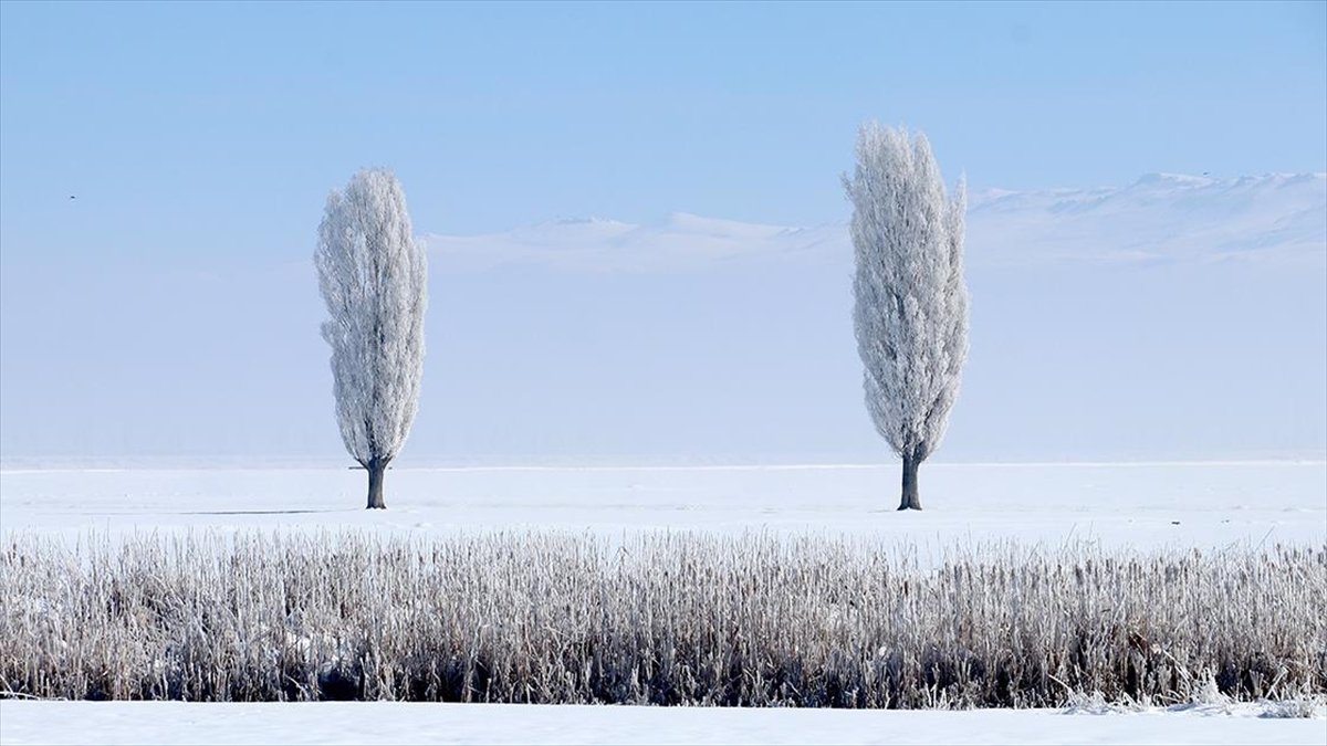 Erzurum, Kars, Tunceli ve Ardahan’da kar yerini soğuk havaya bıraktı
