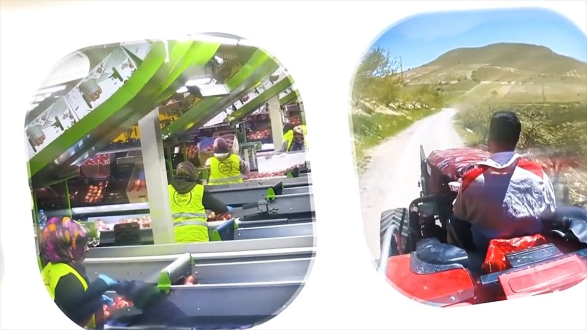 IPARD III Programı 2026 yılı çağrı takvimi yayımlandı IPARD III Programı 2026 yılı çağrı takvimi yayımlandı