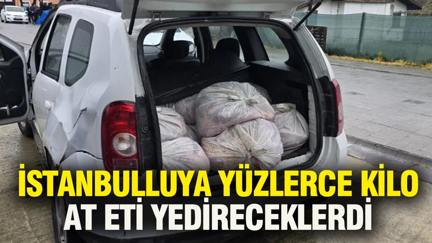 İstanbulluya yüzlerce kilo at eti yedireceklerdi… İstanbulluya yüzlerce kilo at eti yedireceklerdi…