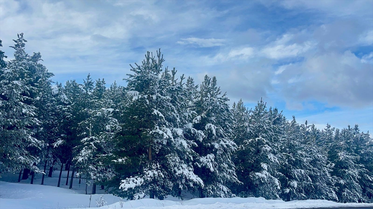 Kars ve Ardahan’da ekiplerin karla mücadele çalışması sürüyor
