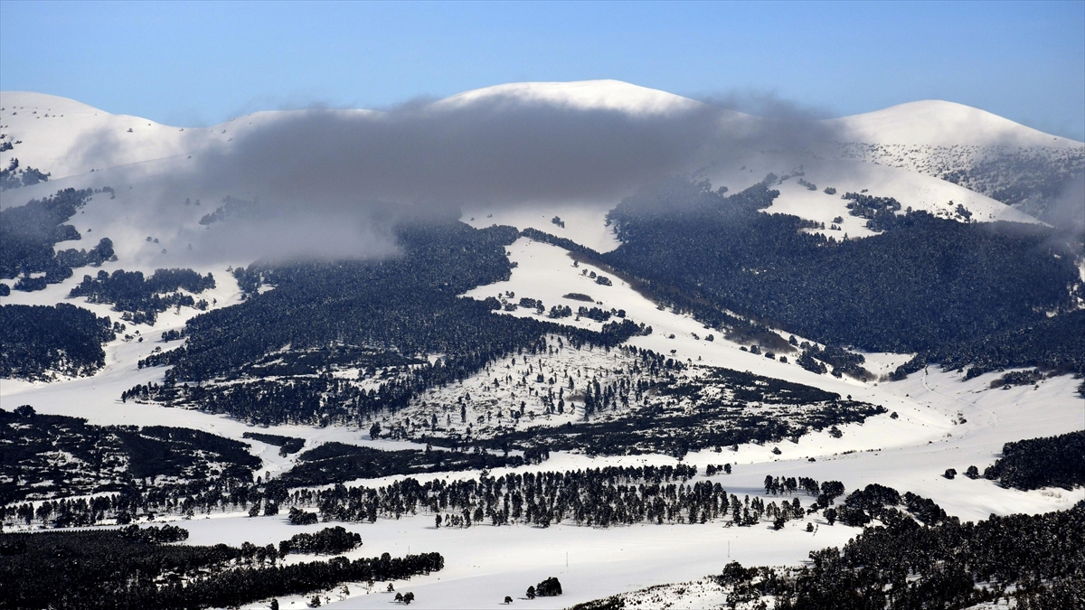 Kars’ta beyaza bürünen sarıçam ormanları dronla görüntülendi