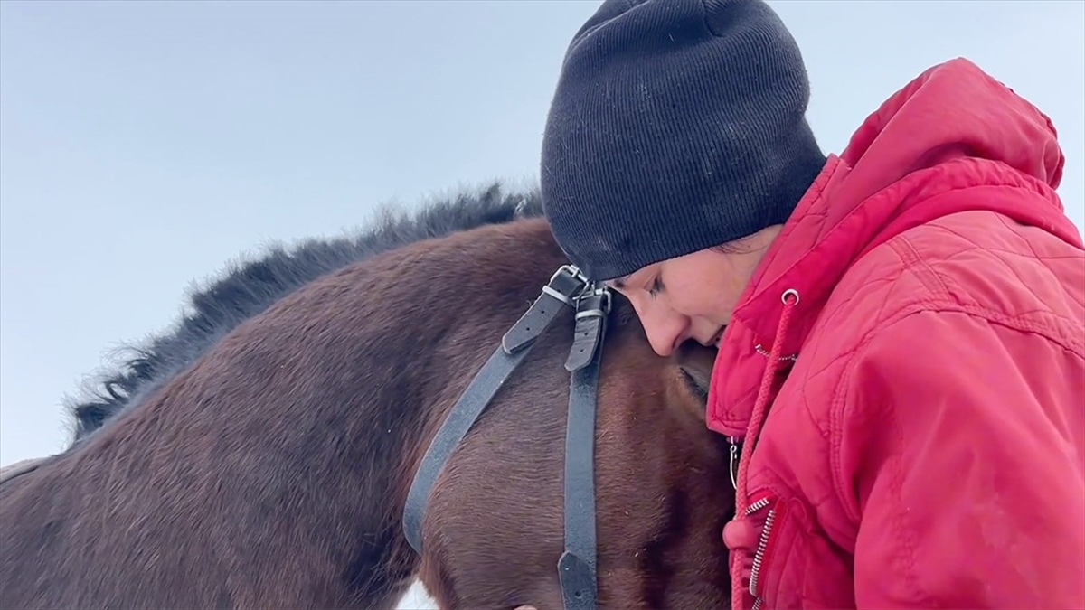 Kars’ta kadın binici, tayken alıp büyüttüğü atıyla yarışlara hazırlanıyor Kars’ta kadın binici, tayken alıp büyüttüğü atıyla yarışlara hazırlanıyor