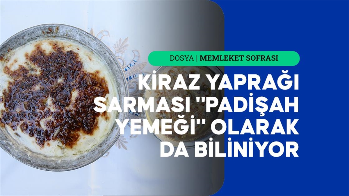 Kiraz yaprağı sarması