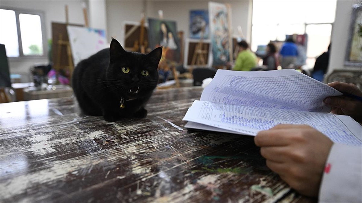 Sevimli kedi “Şükufe” kursiyerlerin neşe kaynağı oldu