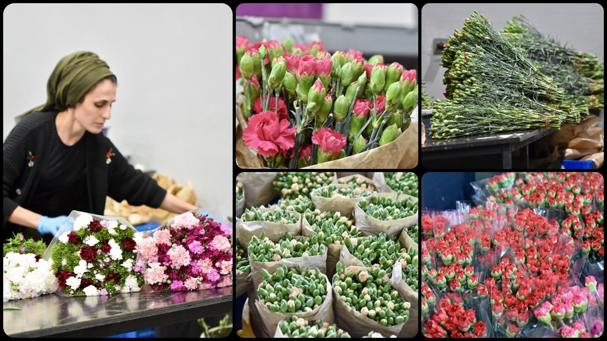 Türkiye’den Dünya Kadınlar Günü için 35 ülkeye 80 milyon dal çiçek