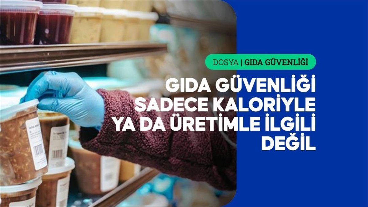 Üretim odaklı küresel gıda sistemi, halk sağlığını göz ardı ediyor