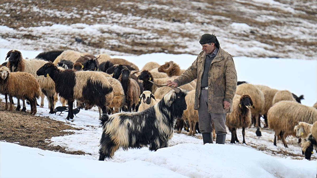 Van’ın kırsal mahallelerinde baharda da karla mücadele sürüyor
