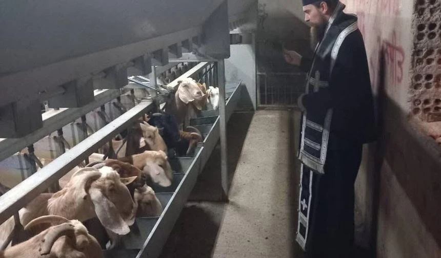 Şap salgınına karşı papaz önlemi…