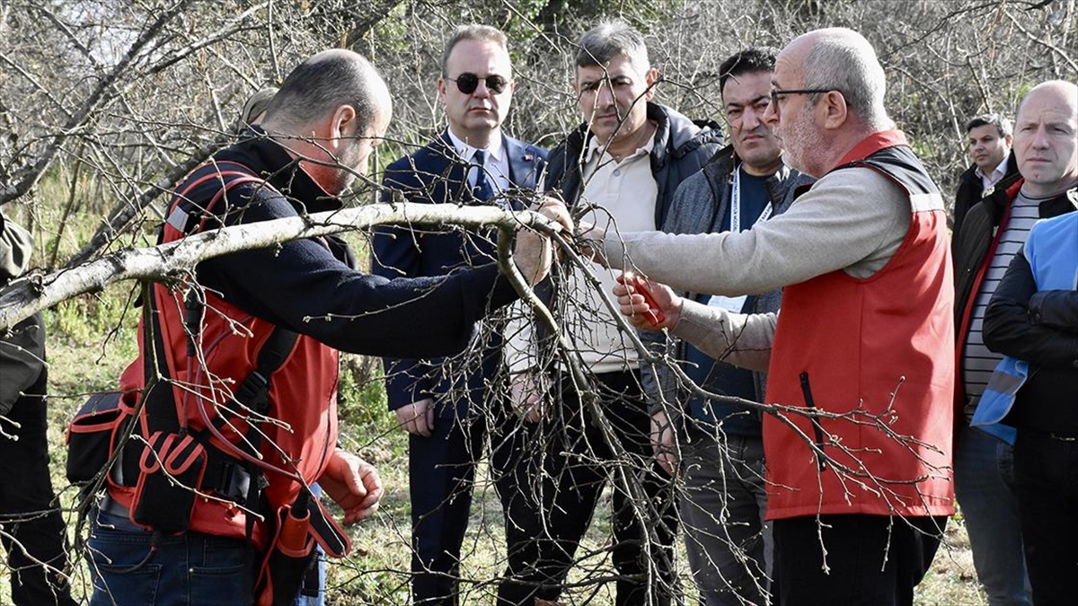 Yükümlüler fındıkta verimin artması için aldıkları eğitimle üretime katkı sunacak