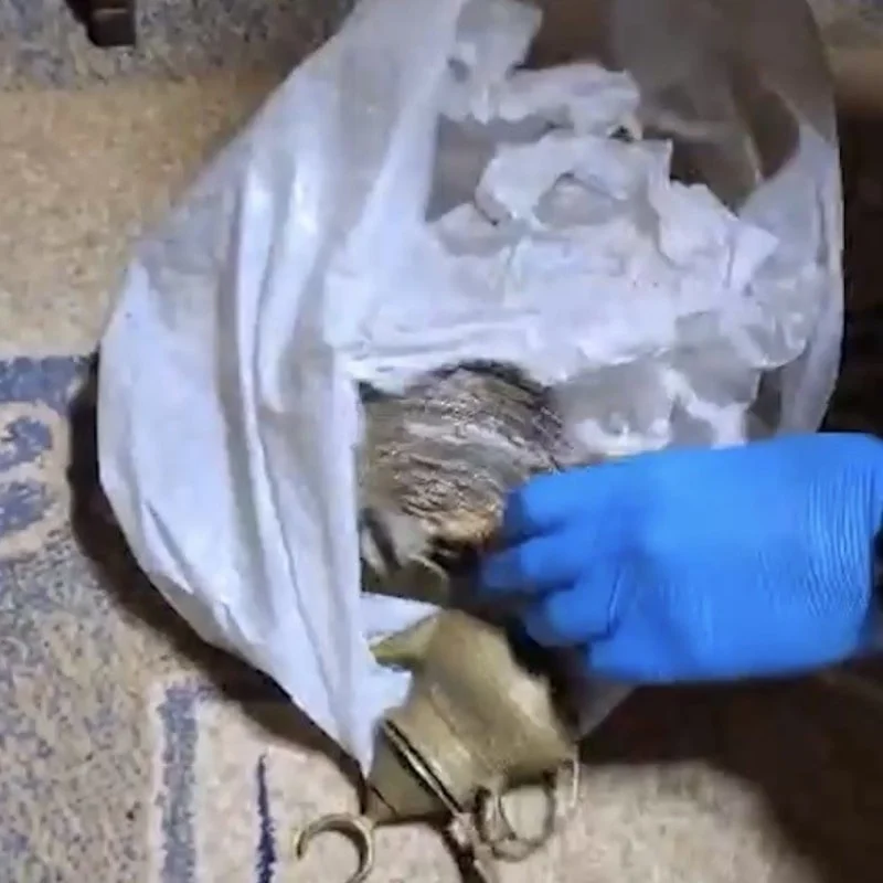 İzmir’de tarihi eser operasyonu: 203 eser ele geçirildi…