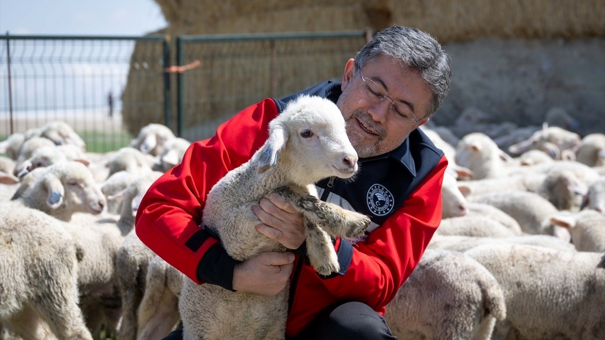Bakan Yumaklı: Kırsalda Bereket Küçükbaşa Destek Projesi ile yıllık 180 bin lira destekte bulunacağız Bakan Yumaklı: Kırsalda Bereket Küçükbaşa Destek Projesi ile yıllık 180 bin lira destekte bulunacağız