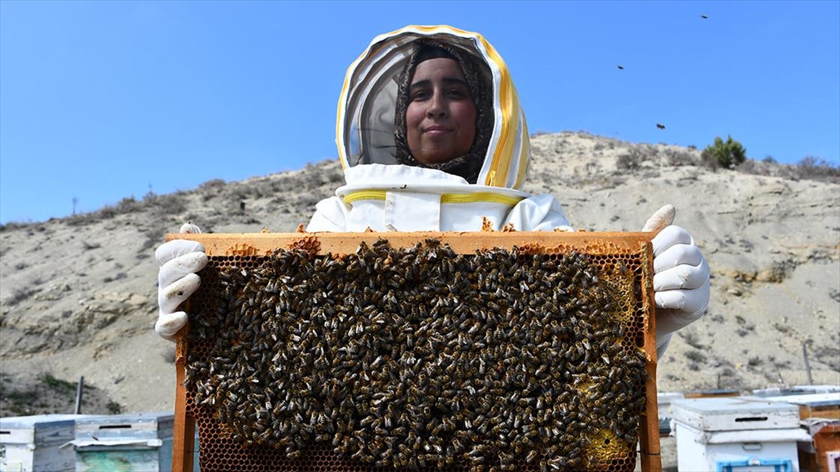 Bilecikli kadın arıcı 3 ilde 4 çeşit bal üretiyor Bilecikli kadın arıcı 3 ilde 4 çeşit bal üretiyor
