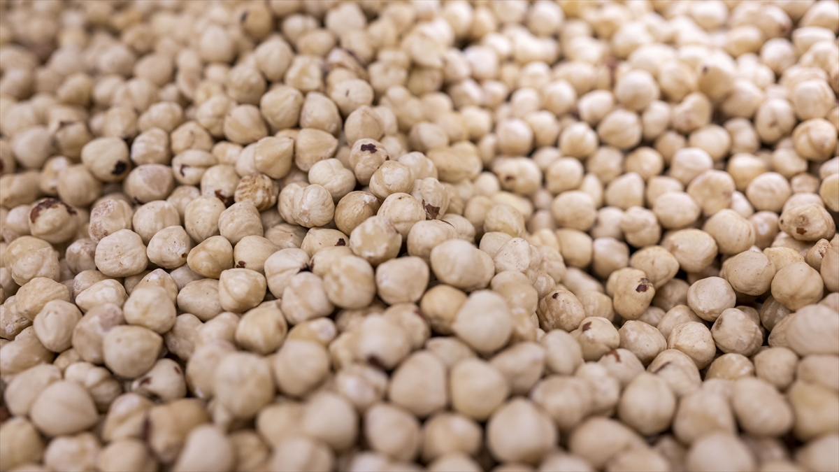 Doğu Karadeniz’den yılın ilk çeyreğinde 379 milyon dolarlık fındık ihracatı