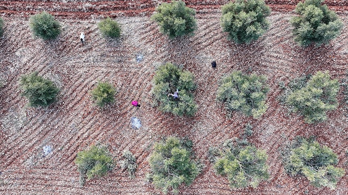 Güneydoğu’daki 9 ilin üretim çeşitliliğini artıracak yatırımlar teşviklerle ivme kazanacak