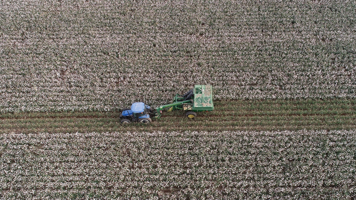 Hürmüz Boğazı’ndaki aksamalar dünya genelinde çiftçileri zora sokuyor