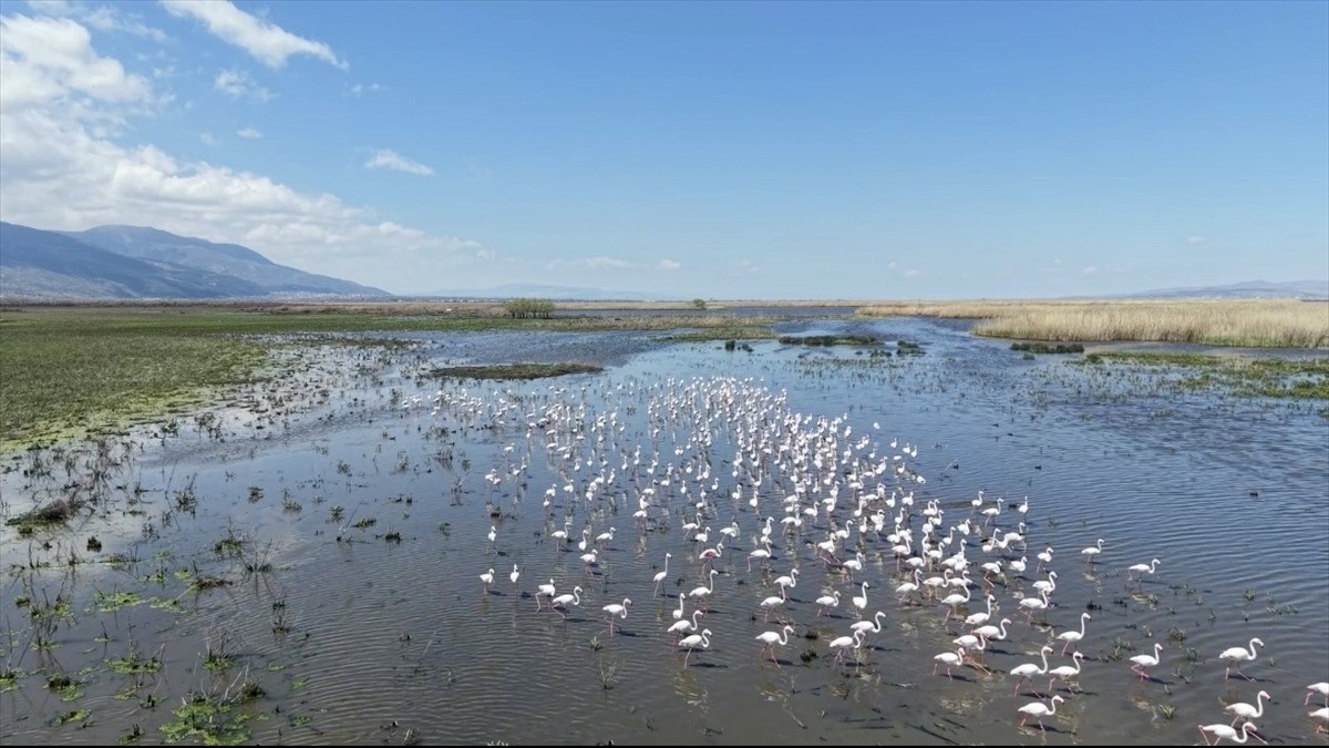 Kuraklık riski altındaki Eber Gölü’nün su seviyesi üç kat arttı