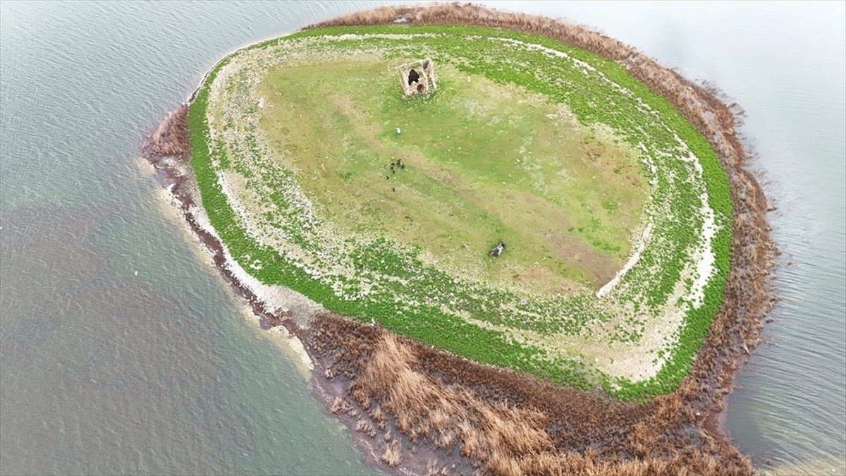 Kuraklıktan etkilenen Mada Adası’nda yağışlar su seviyesini yükseltti