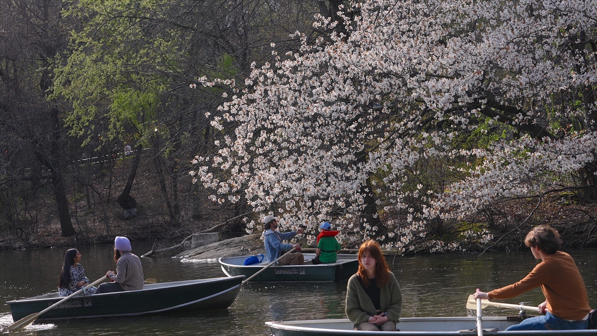 Mart 2026, dünyada kayıtlardaki en sıcak dördüncü mart ayı oldu Mart 2026, dünyada kayıtlardaki en sıcak dördüncü mart ayı oldu
