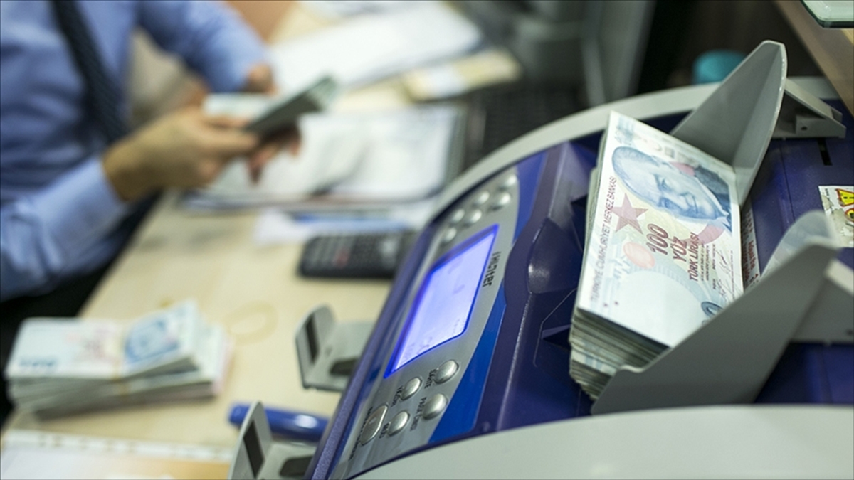 Sosyal ve Ekonomik Destek nisan ayı ödemeleri hesaplara yatırıldı