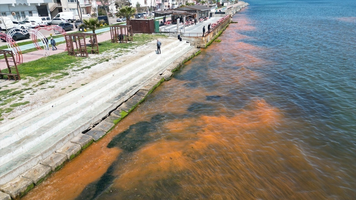 Tekirdağ’da planktonların çoğalması sonucu denizin rengi yer yer değişti