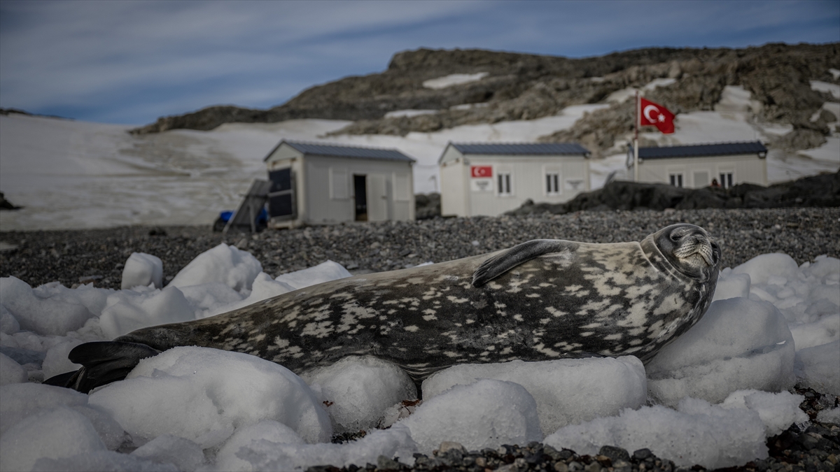 “Türk Antarktika Bilim Üssü” hazırlıkları tamamlandı