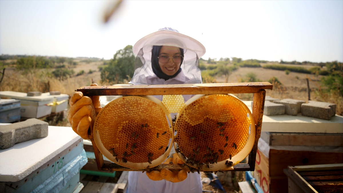 Türk balı yılın ilk çeyreğinde 31 ülkede alıcı buldu Türk balı yılın ilk çeyreğinde 31 ülkede alıcı buldu