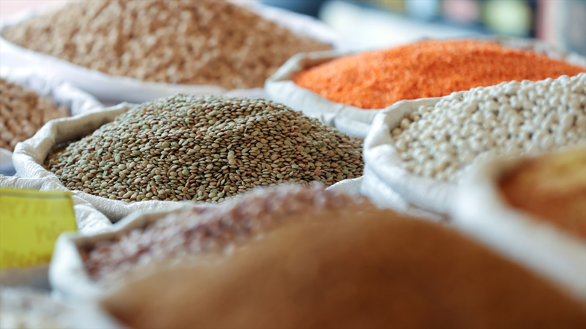 Türk hububatçılardan yılın ilk çeyreğinde 2 milyar 828 milyon dolarlık ihracat