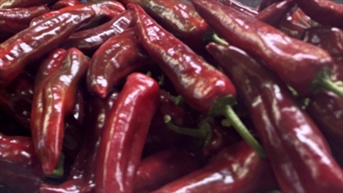 Türkiye’nin biber ihracatının yüzde 74’ü Batı Akdeniz’den