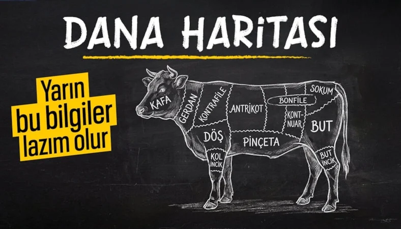 Danada en lezzetli et hangi bölümden çıkıyor… Danada en lezzetli et hangi bölümden çıkıyor…