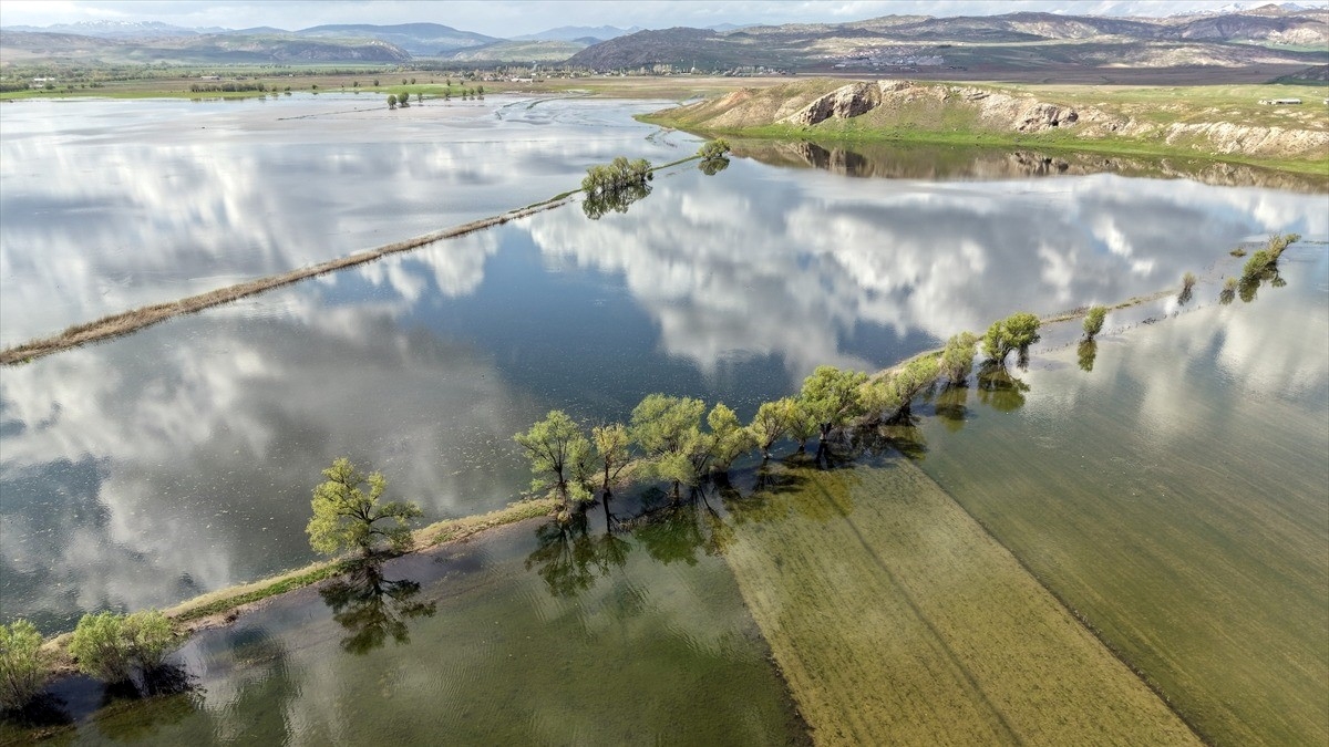 Sivas’ta 1500 dönüm tarım arazisi su altında kaldı