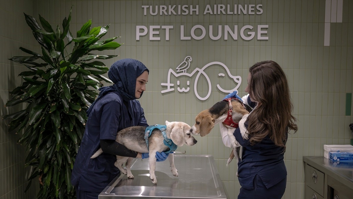 THY’den kargoda taşınabilen evcil hayvanlara İstanbul Havalimanı’nda özel salon hizmeti
